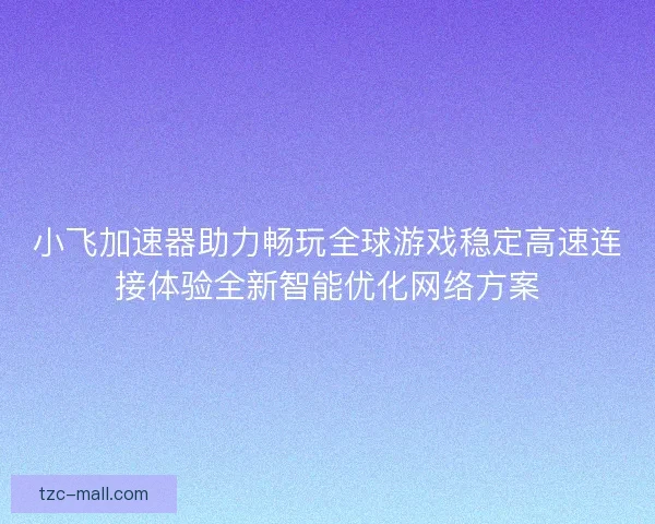 小飞加速器助力畅玩全球游戏稳定高速连接体验全新智能优化网络方案