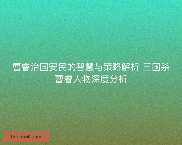 曹睿治国安民的智慧与策略解析 三国杀曹睿人物深度分析